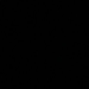 Meet your Posher, Rosa